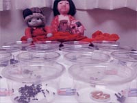 あーちゃんのたまごにっき その13