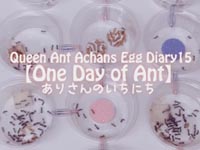 あーちゃんのたまごにっき その15